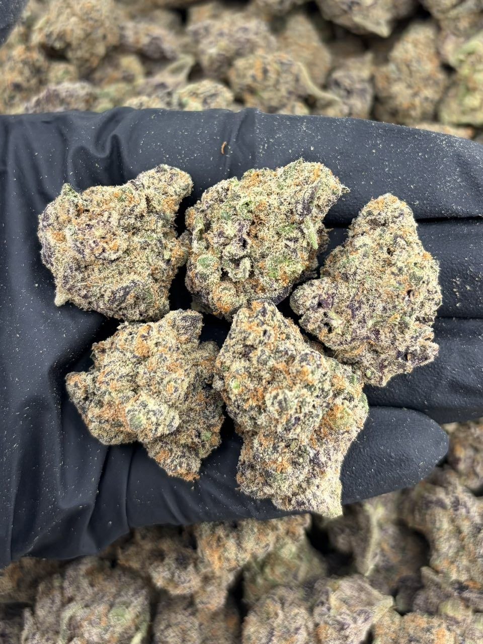 Dark matter - flower from Real Duck Distro