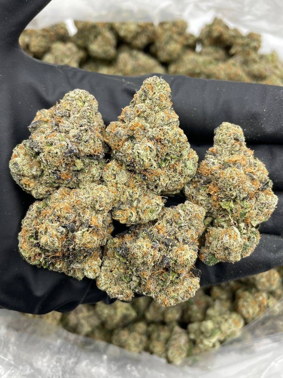 Pink runtz - flower from Real Duck Distro