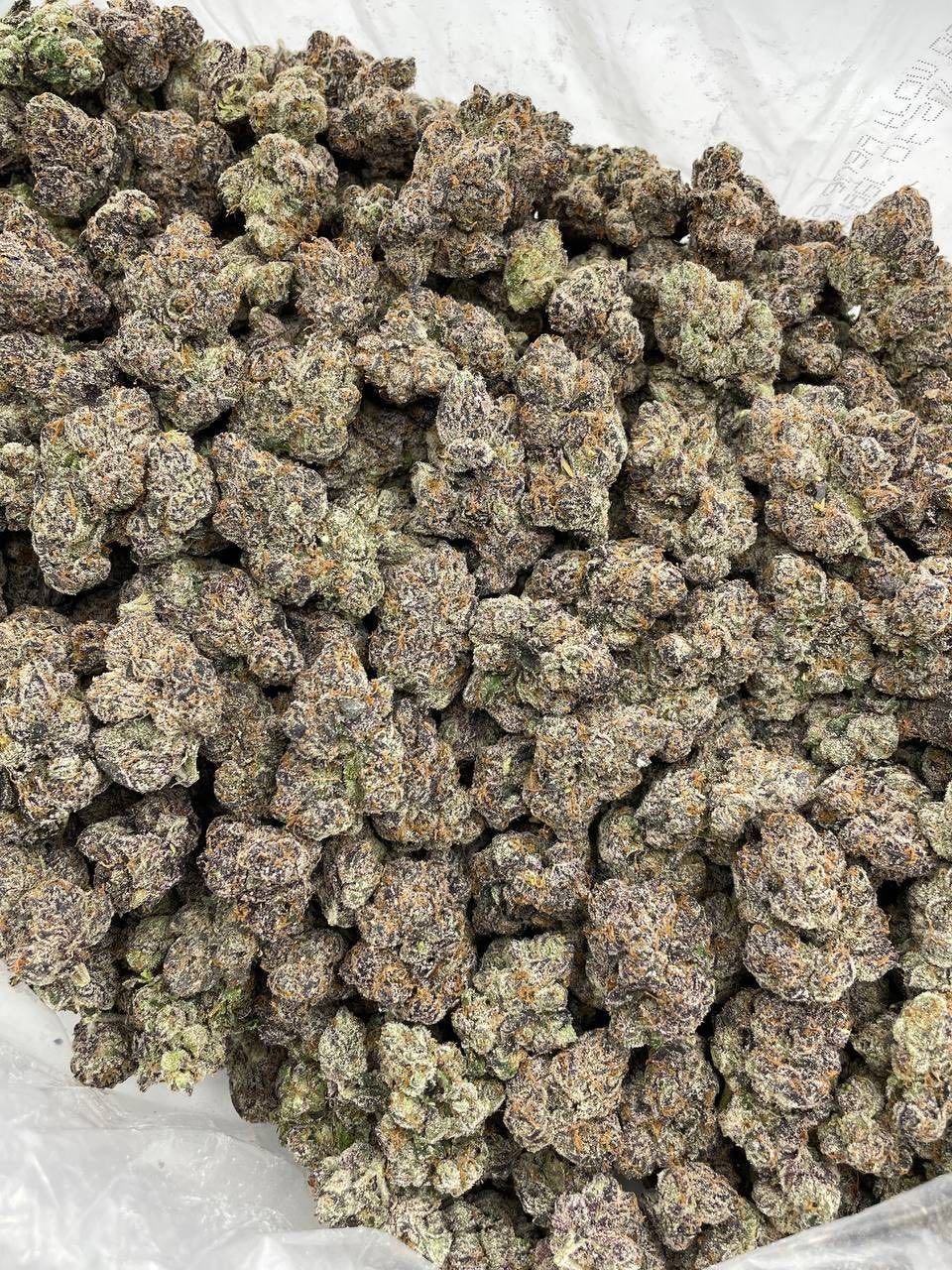 BLACK CHERRY SUNSET INDOORS 🍒🌅 - photo 2
