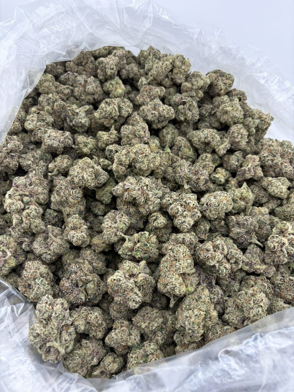CHERRY BOMB INDOORS 🍒💣 - photo 2