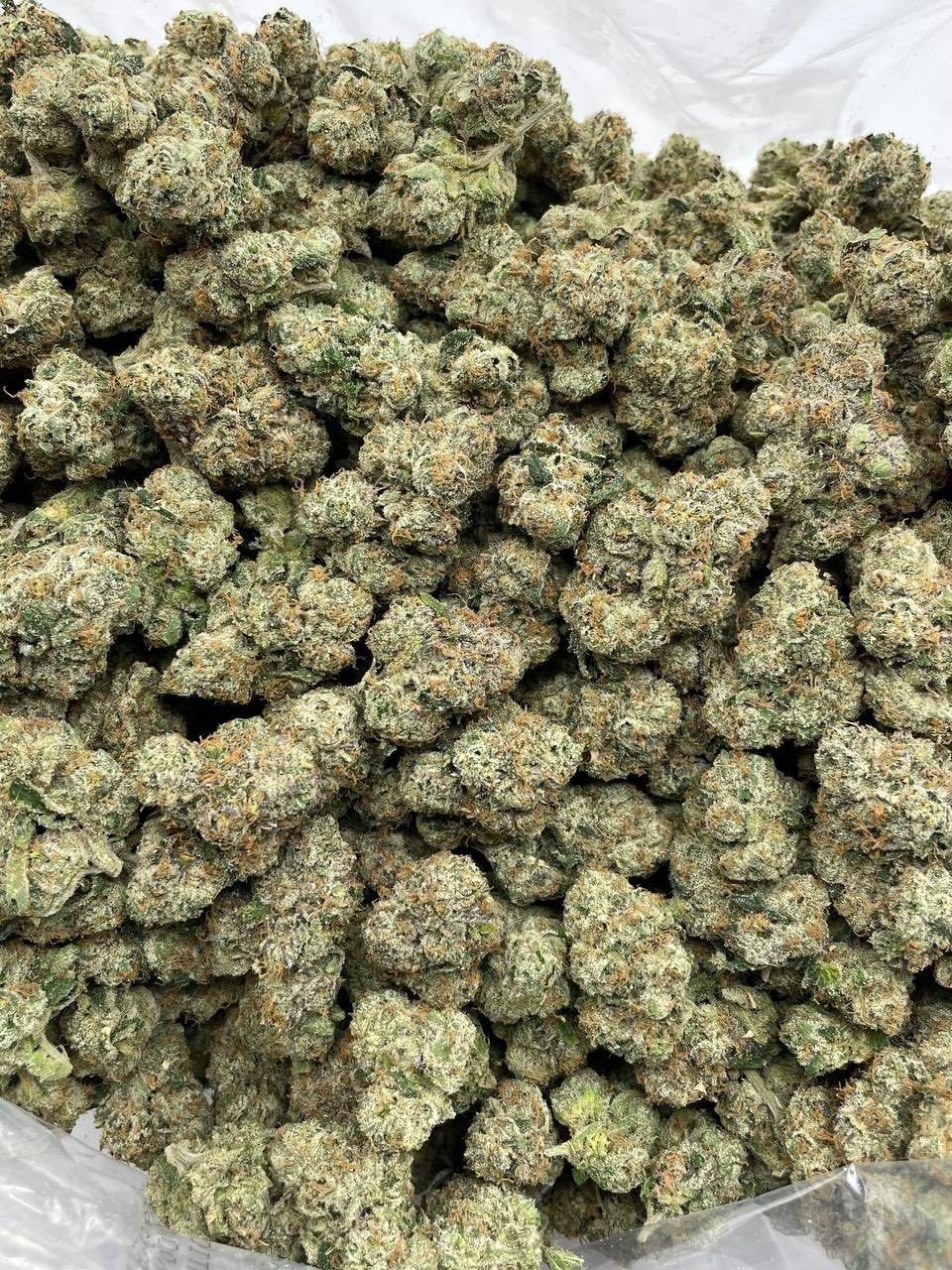 WATERMELON SOUR PATCH INDOORS 🍉 - photo 2
