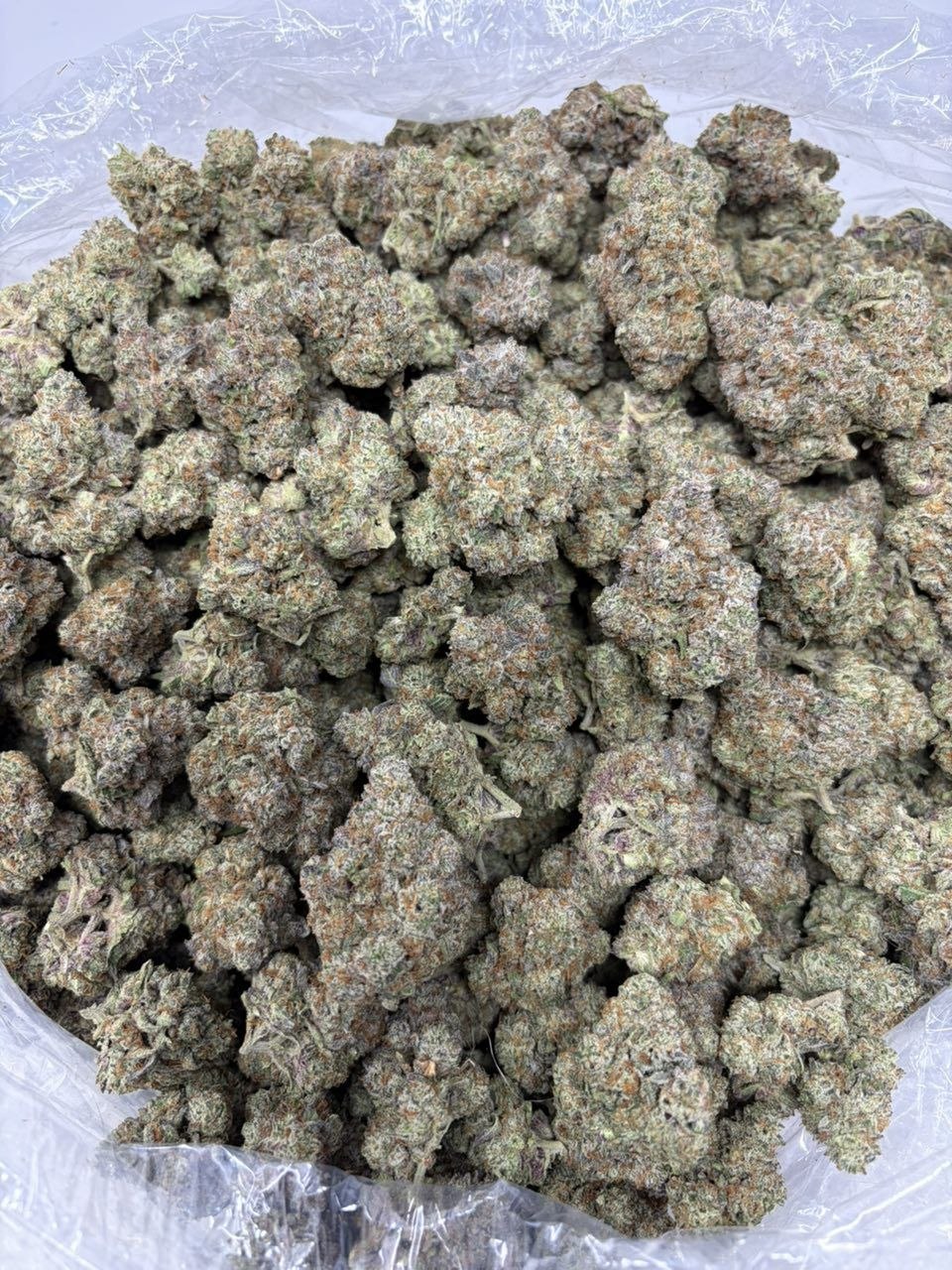 Sugar gelato SG - photo 2