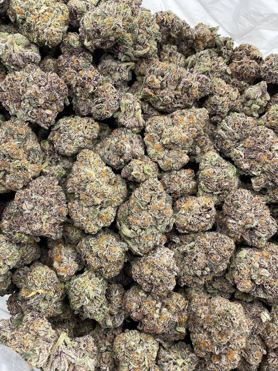 BUBBLEGUM ZOURS INDOORS 😝🔥 - photo 2