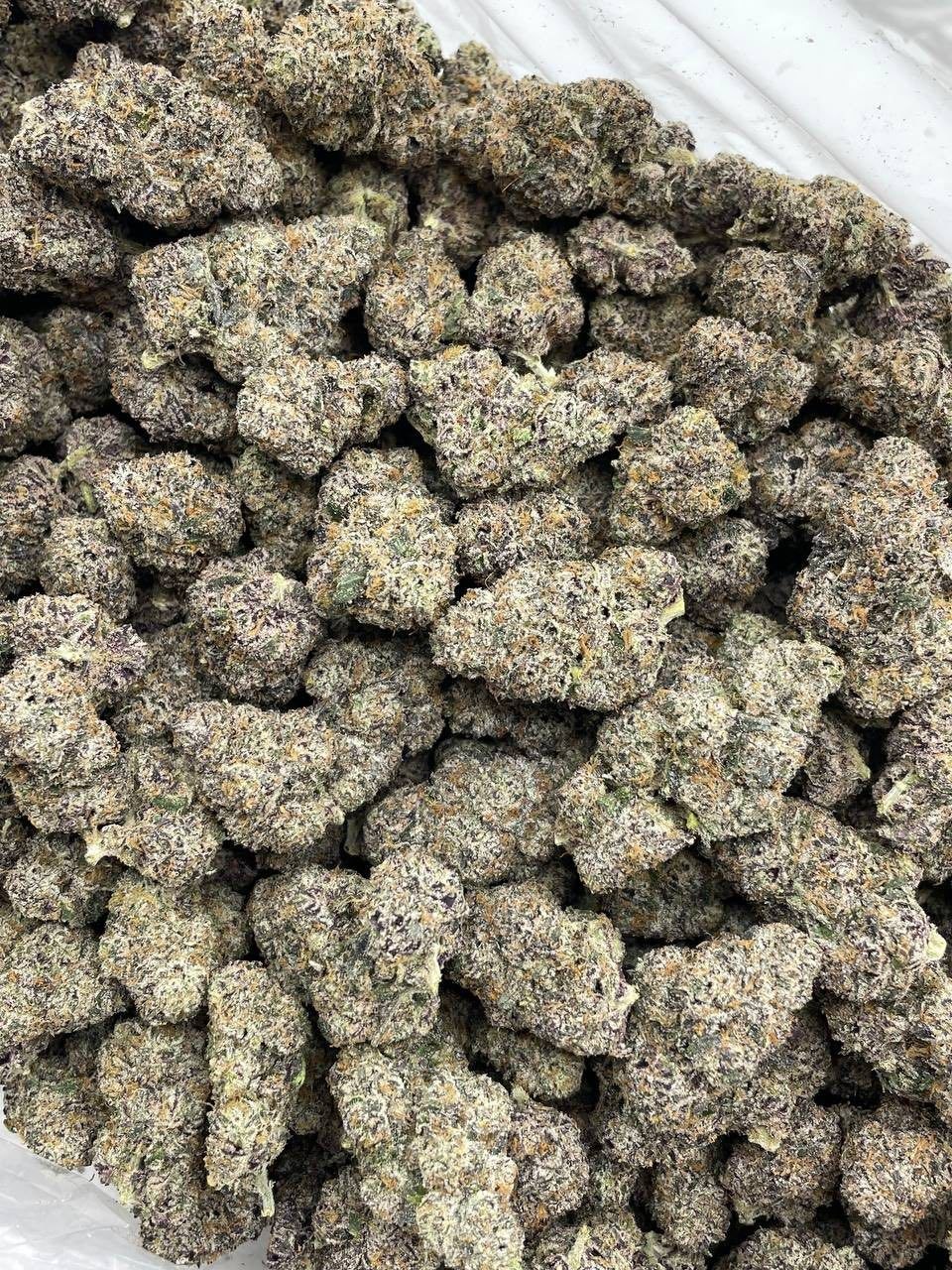 CANDY CURELATO INDOORS 🍭❄️ - photo 2