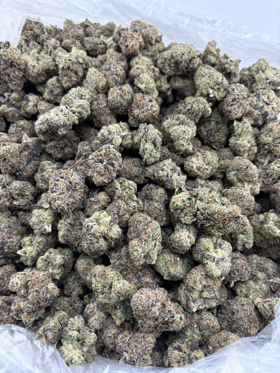 BLUE AIRHEADZ RUNTZ INDOORS 🫐🤯 - photo 2