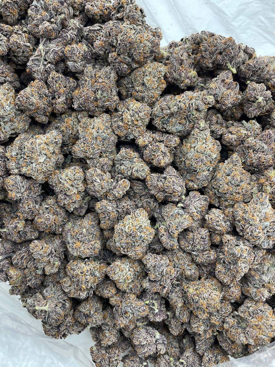 BUBBLEGUM SMARTIES INDOORS 🫧🍬  - photo 2