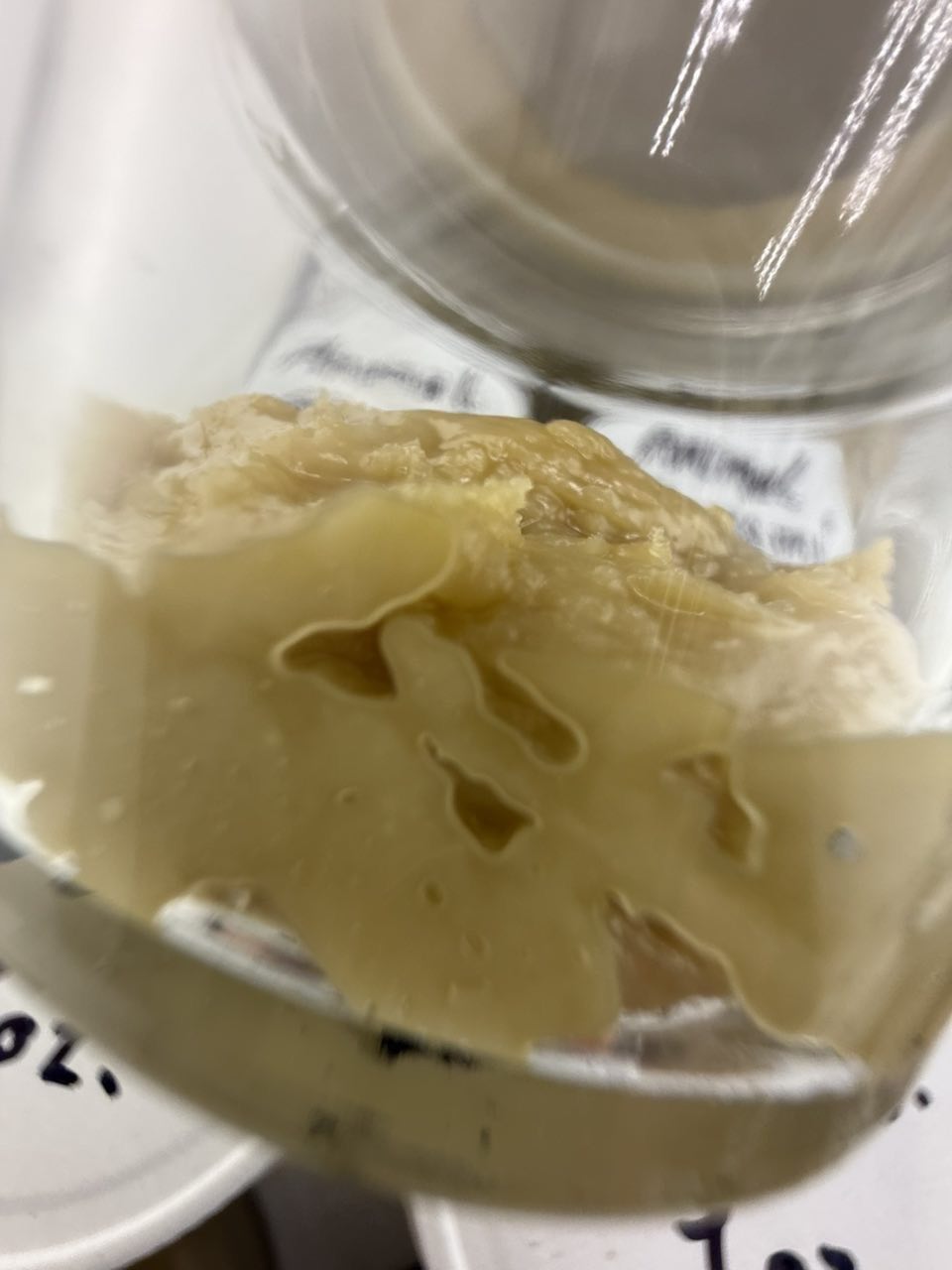 HASH ROSIN 🍯 ⛽️🔥 90-150U✅ HEAD STASH 😮‍💨🤯 — gallery photo 3 of concentrates from Real Duck Distro