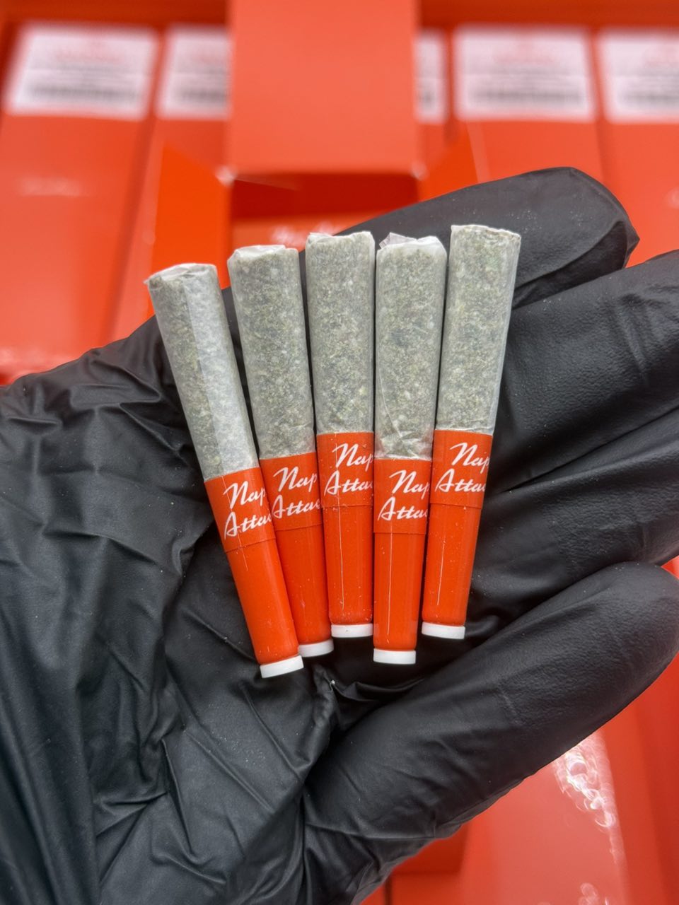 Sherbinski preroll - prerolls from Real Duck Distro