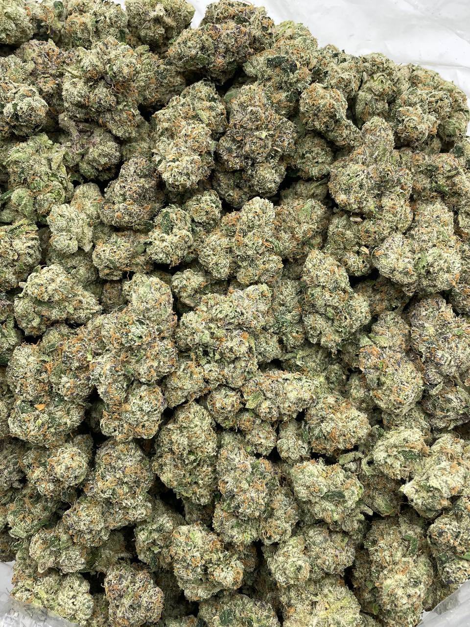 STRAWBERRY SLURPEE INDOORS 🍓🍭 — gallery photo 2 of flower from Real Duck Distro