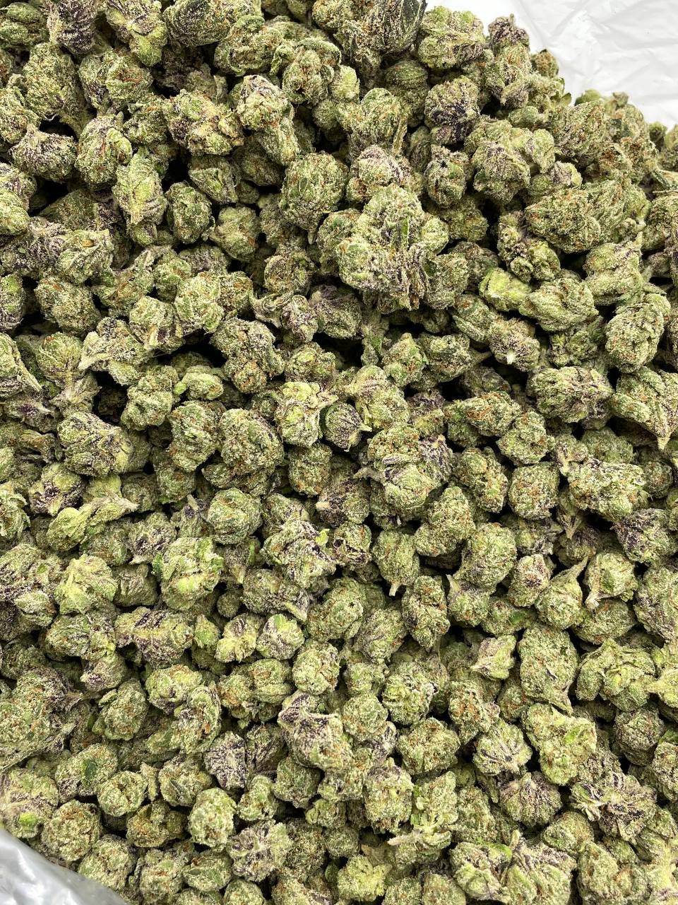 SOUR SLURPEE EXOTIC SM - photo 2
