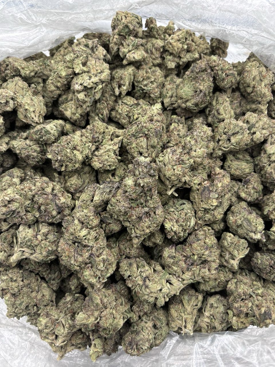 LAFFY TAFFY MIX LIGHTS 🍭❄️ - photo 2