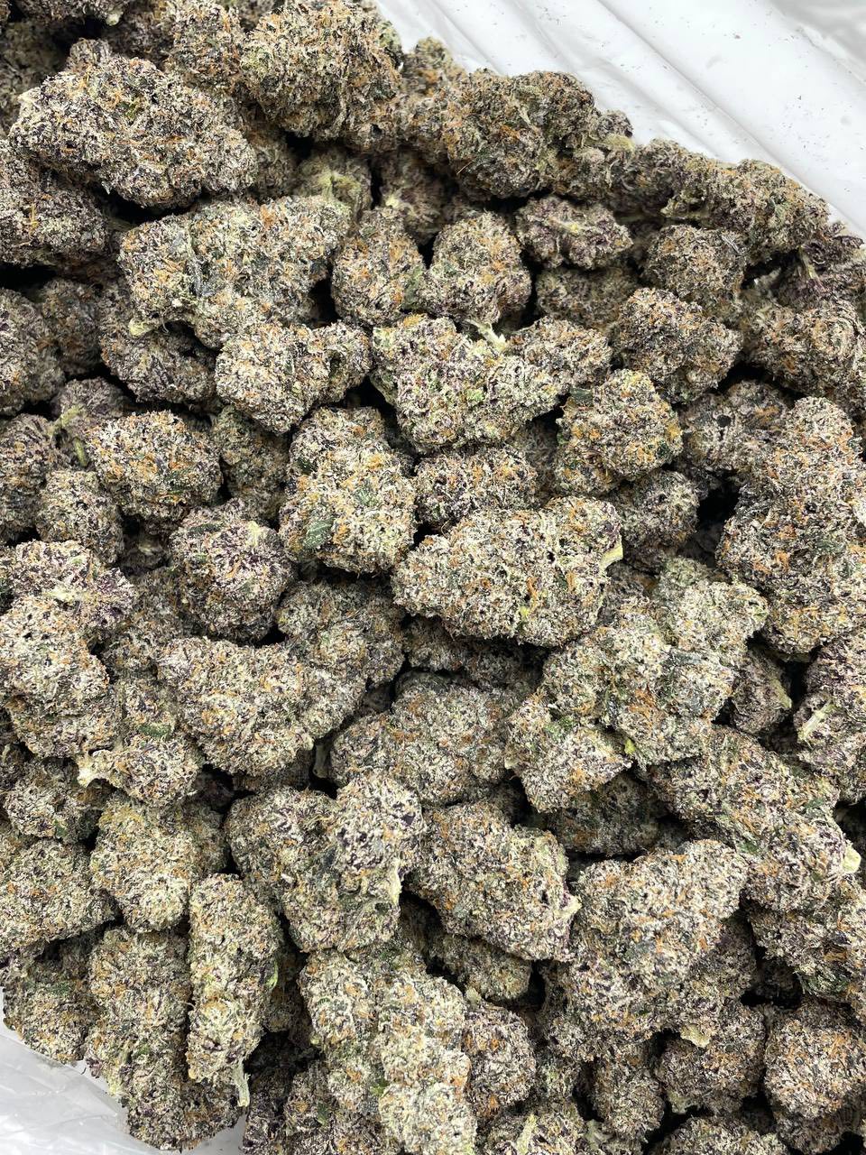 CANDY CURELATO INDOORS 🍭❄️ — gallery photo 2 of flower from Real Duck Distro