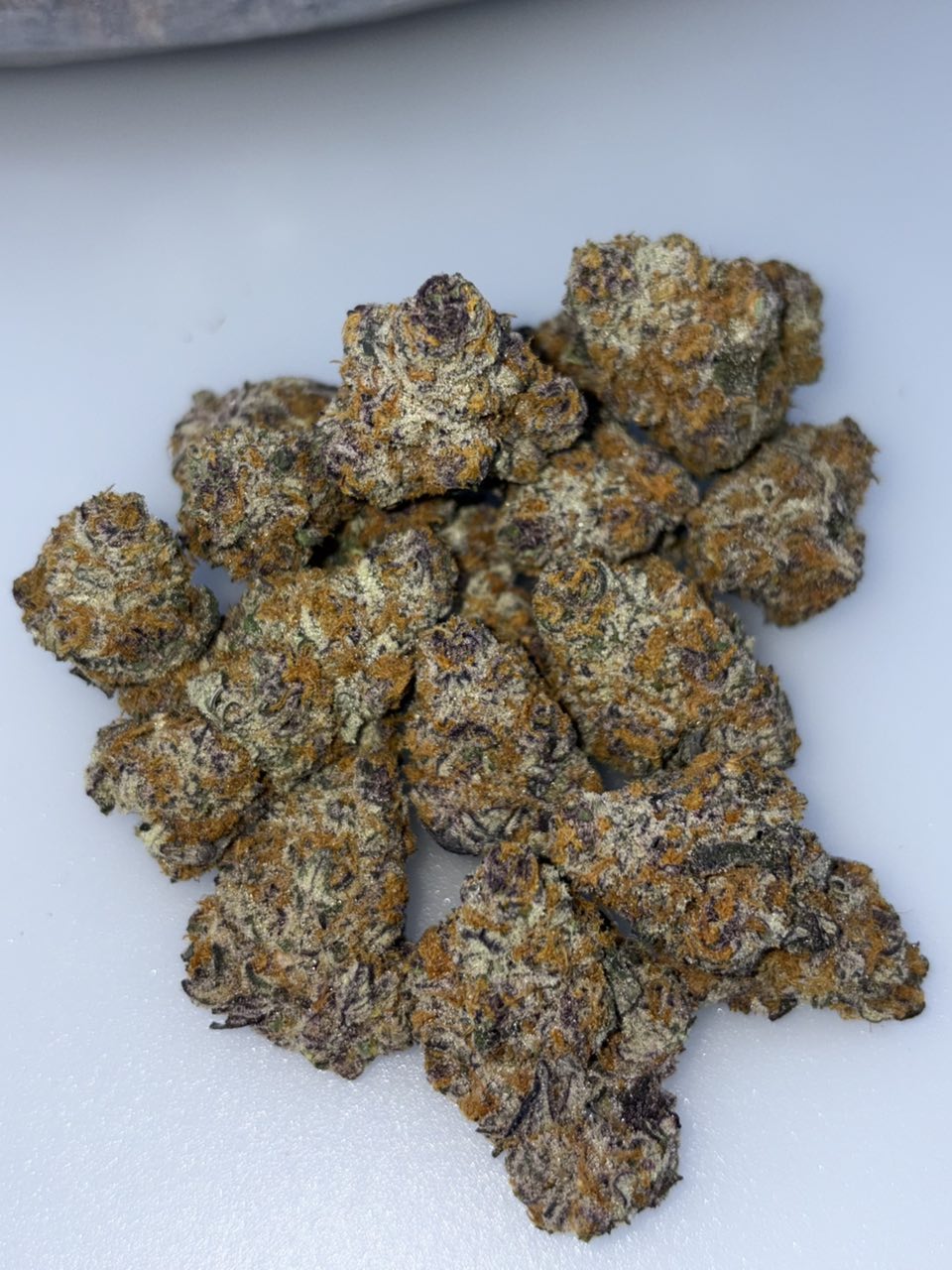 Blue Wasabi  - photo 2