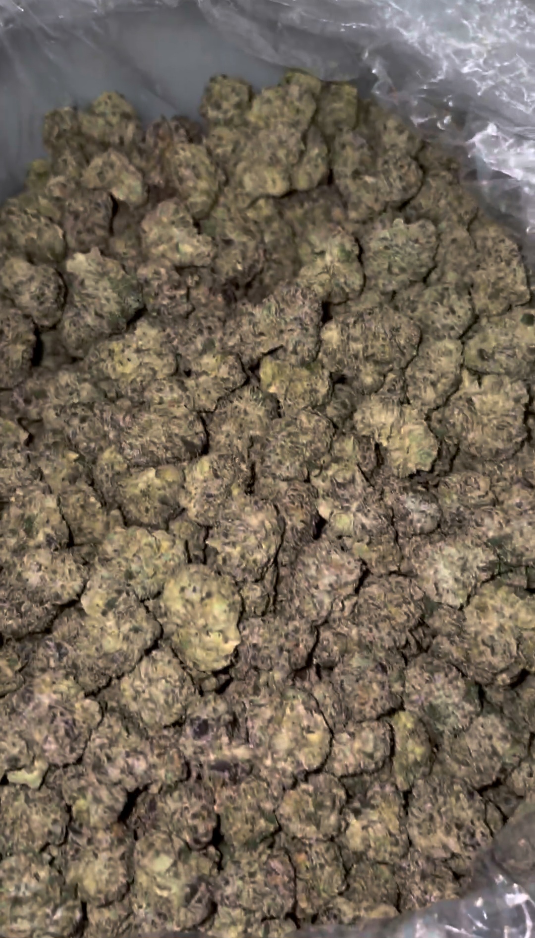 BERRIEZ BUBBLE GUM - photo 2