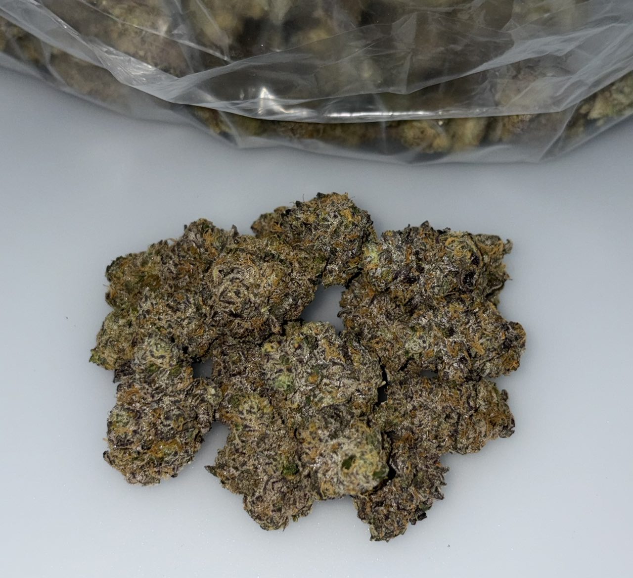 Birdo Bomber - photo 2