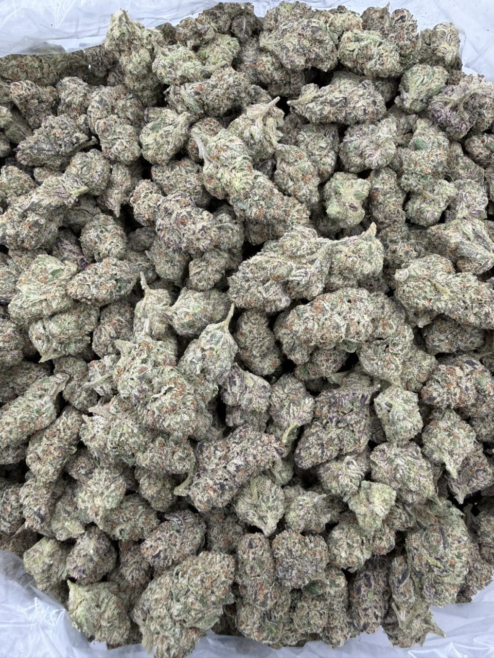 Blue meteorite fakers - photo 2
