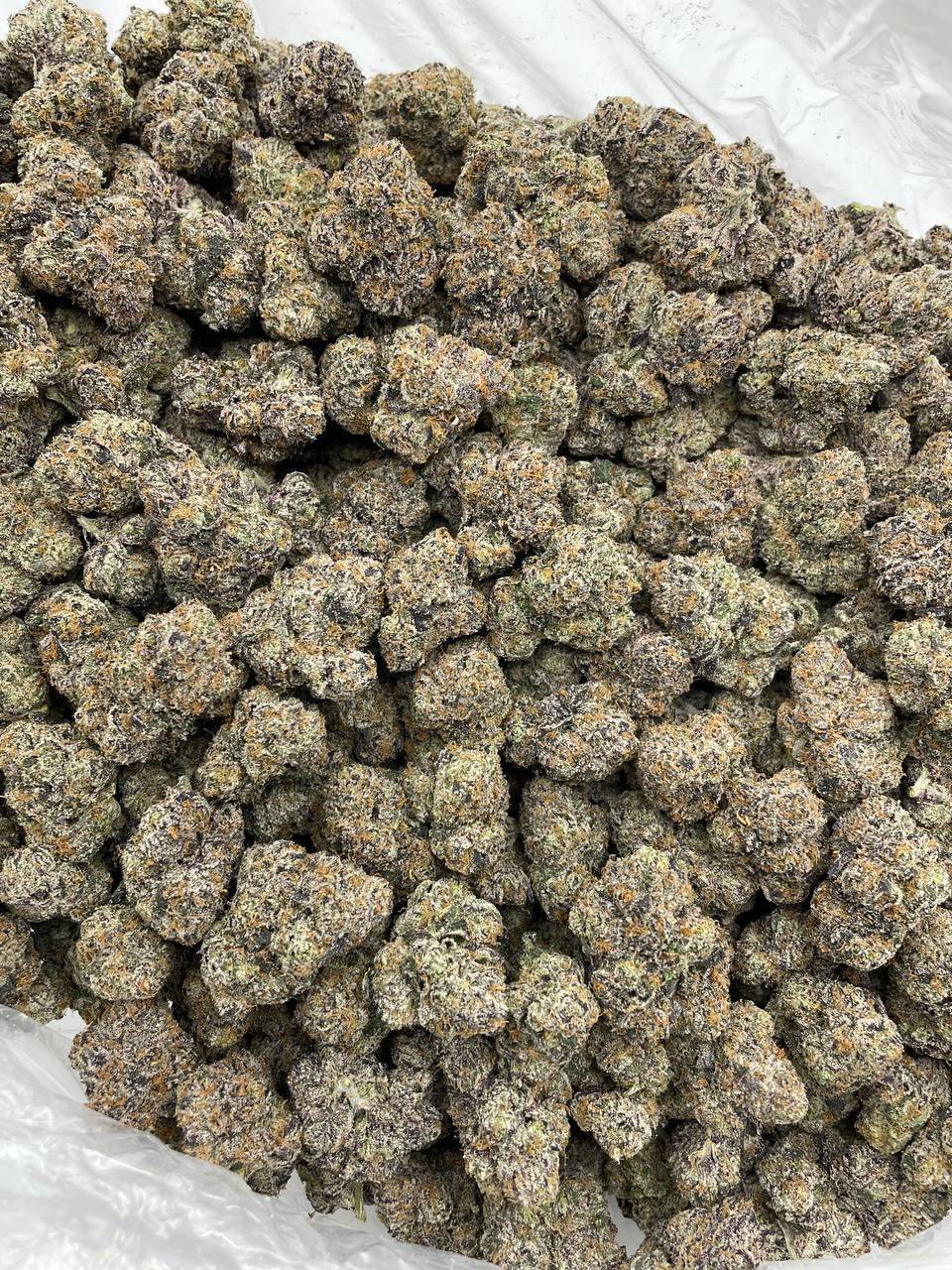 CHERRY CHOP STIXXX INDOORS 🍒🥢 - photo 2