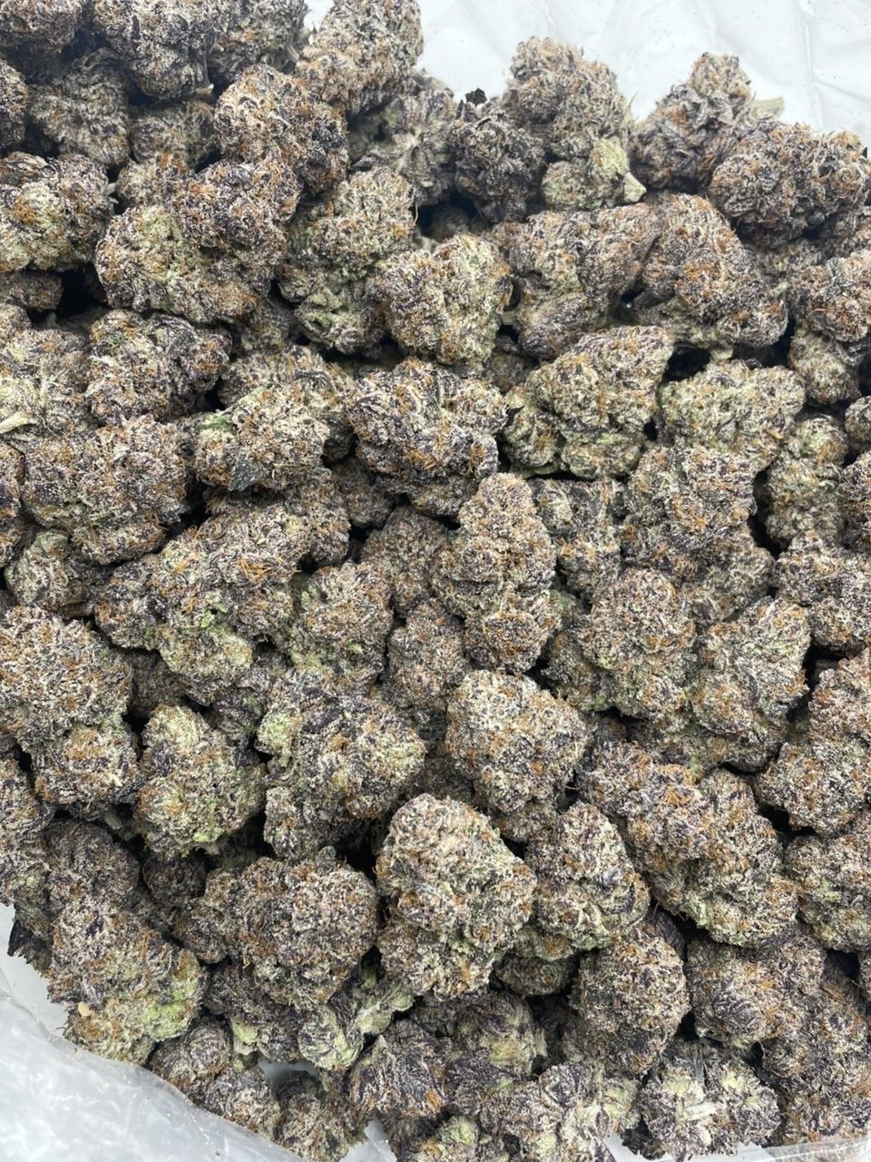 Blue Candy Rosé indoors 🍭🍾 - photo 2