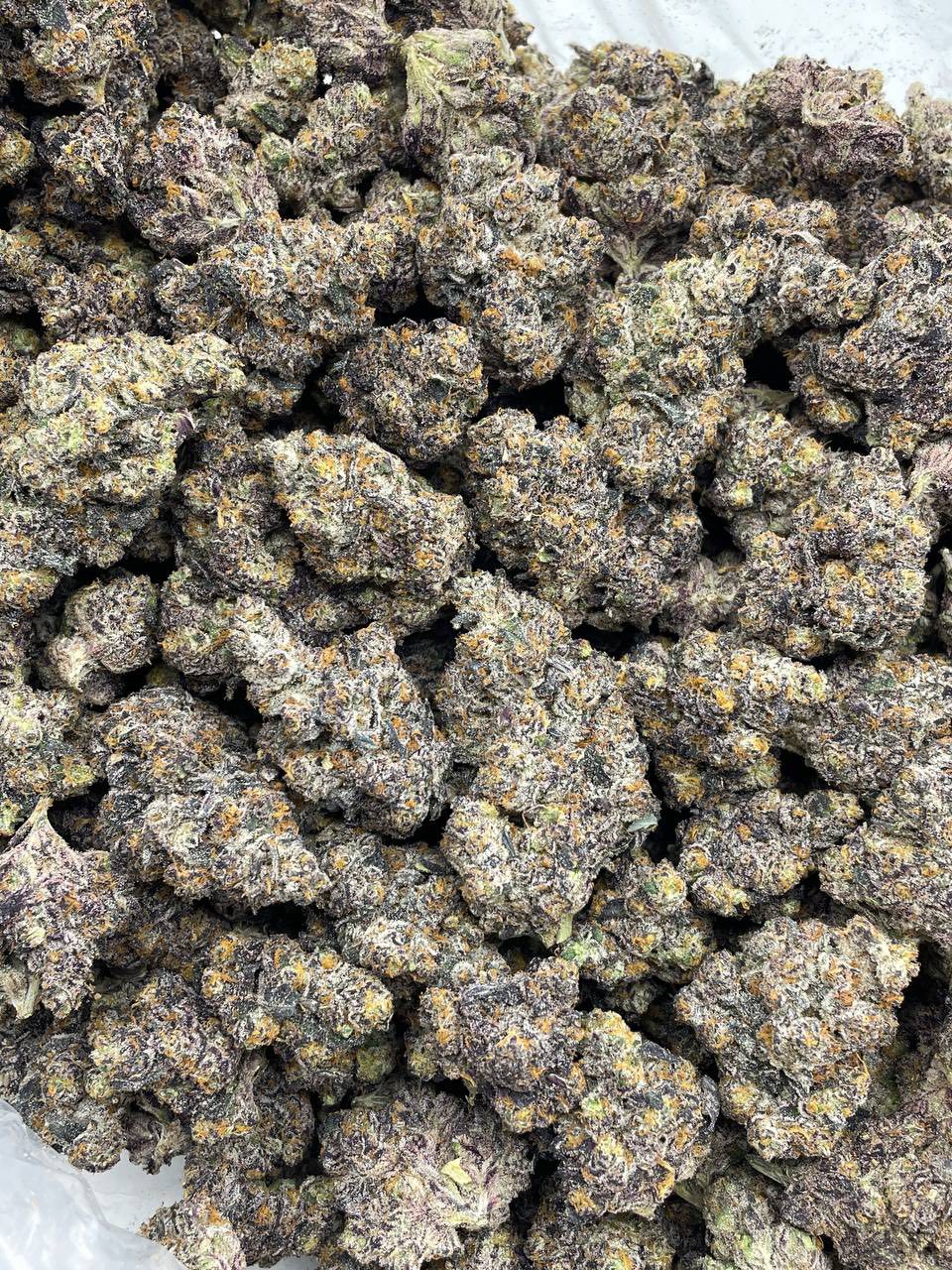SOUR SHERBET INDOORS 🍭🍋  — gallery photo 2 of flower from Real Duck Distro