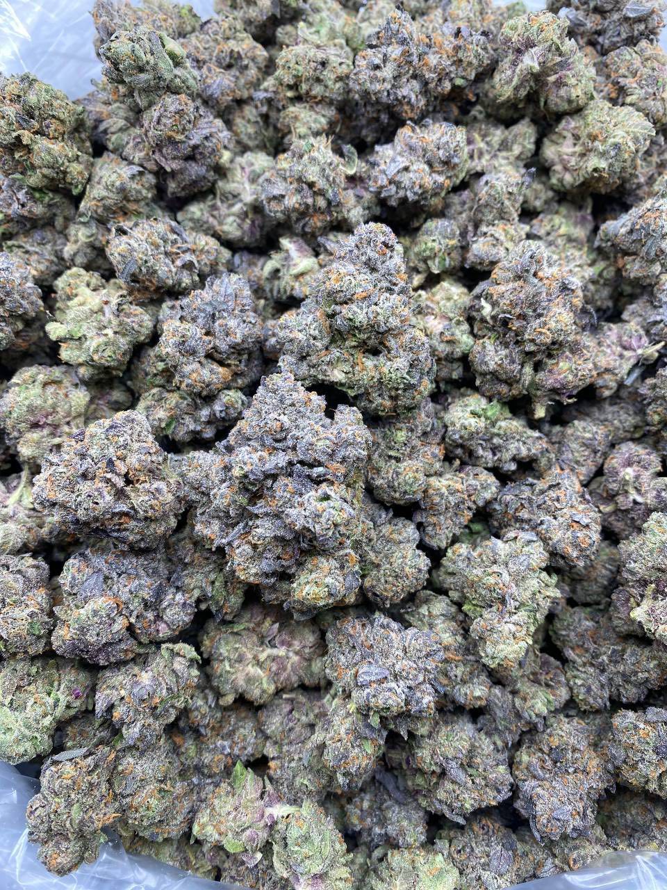 BANANA SHERBERT INDOORS  - photo 2