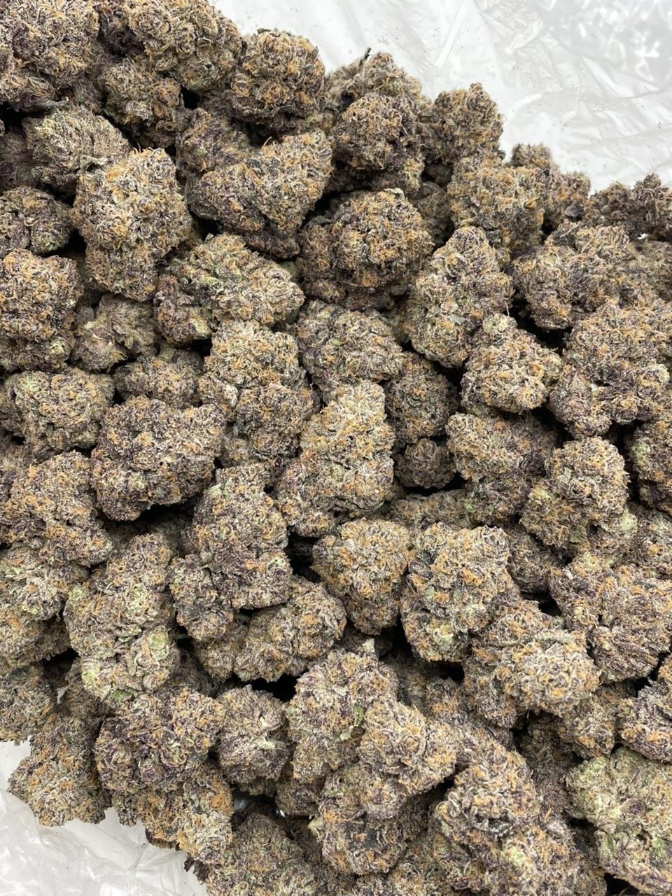 Zkittle M&M’s indoors 💤🍫   — gallery photo 2 of flower from Real Duck Distro
