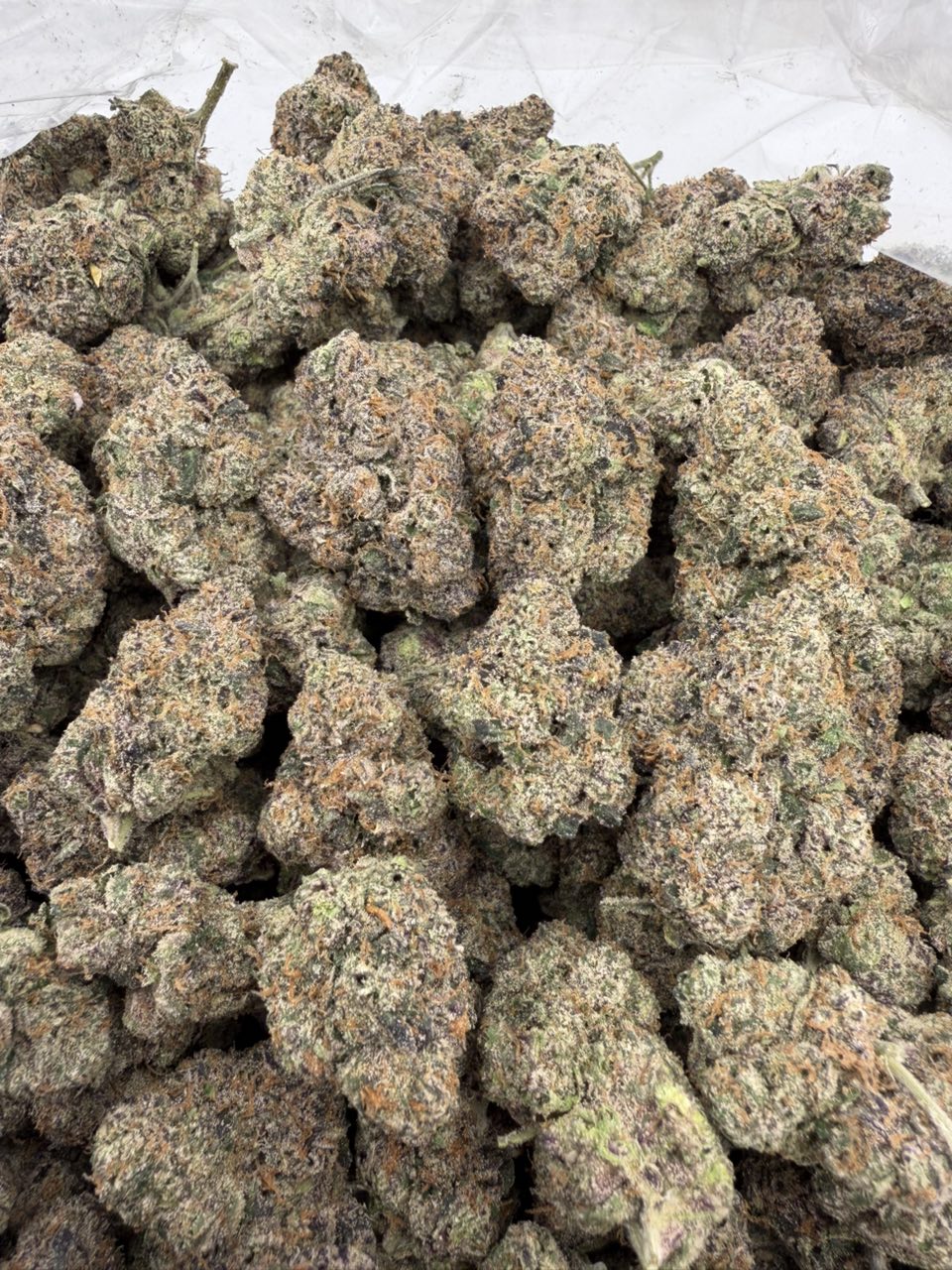 Peach Bubbleplum 🍬🍬🍬 — gallery photo 2 of flower from Real Duck Distro