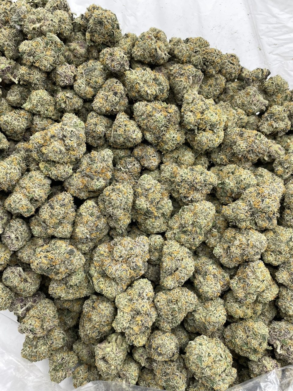 ⬆️ Sunset Triple Scoop indoors 🌅🍨 — gallery photo 2 of flower from Real Duck Distro