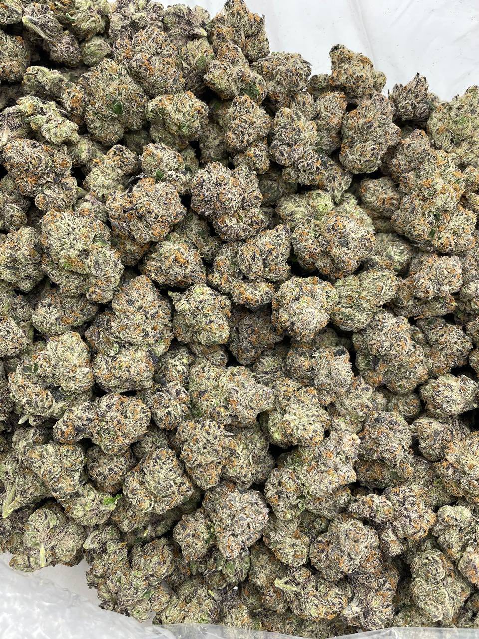 WHITE CHERRY POPPERS EXOTIC INDOORS 🍒💥 — gallery photo 2 of flower from Real Duck Distro