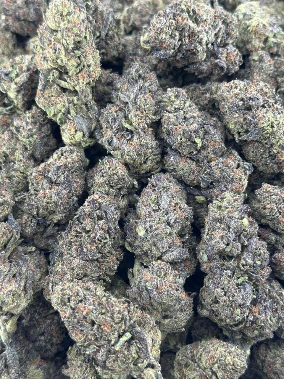 CANDY LANE — gallery photo 2 of flower from Real Duck Distro