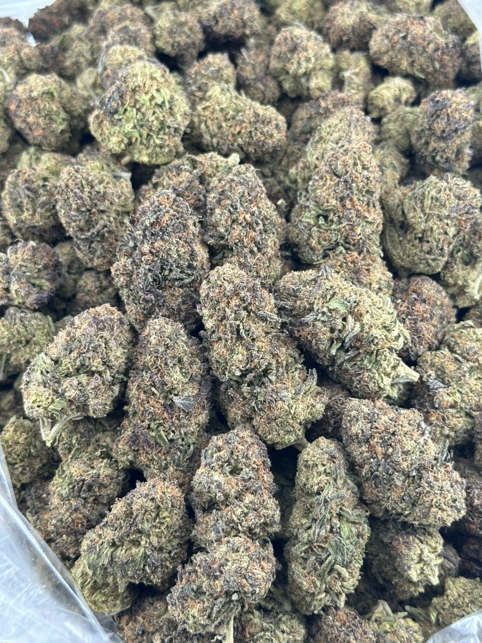 Bazookaz | Real Duck Distro Bazookaz — premium flower from Real Duck Distro Los Angeles, buy online with nationwide cannabis shipping