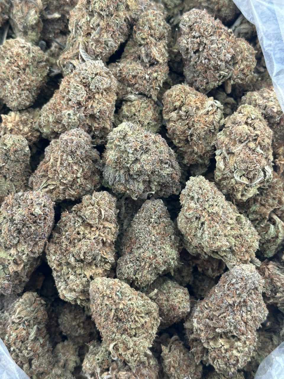 Fun dip — gallery photo 2 of flower from Real Duck Distro