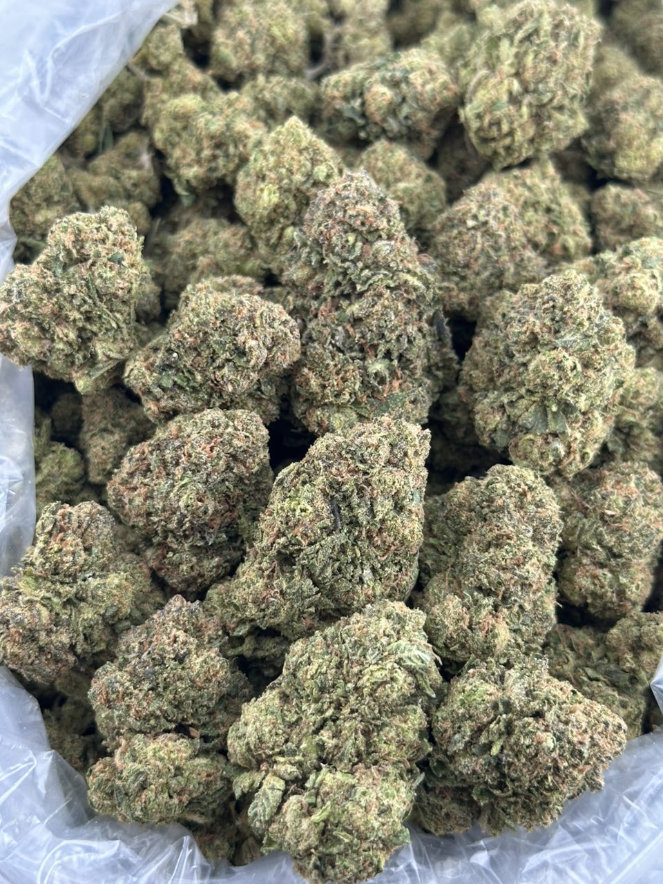 Watermelon Gelato — gallery photo 2 of flower from Real Duck Distro