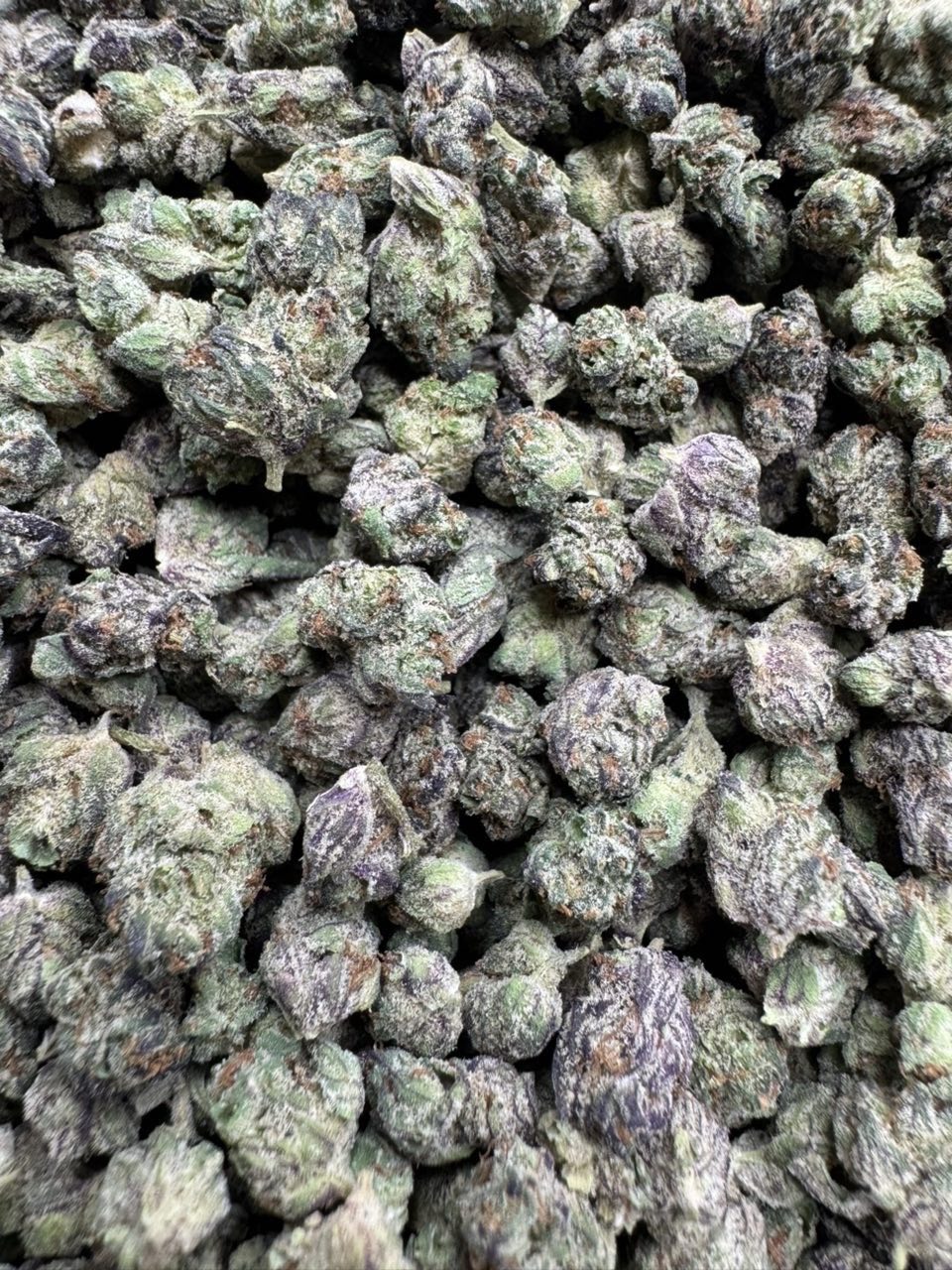 Pink Runtz Smalls 🍵 — gallery photo 2 of flower from Real Duck Distro