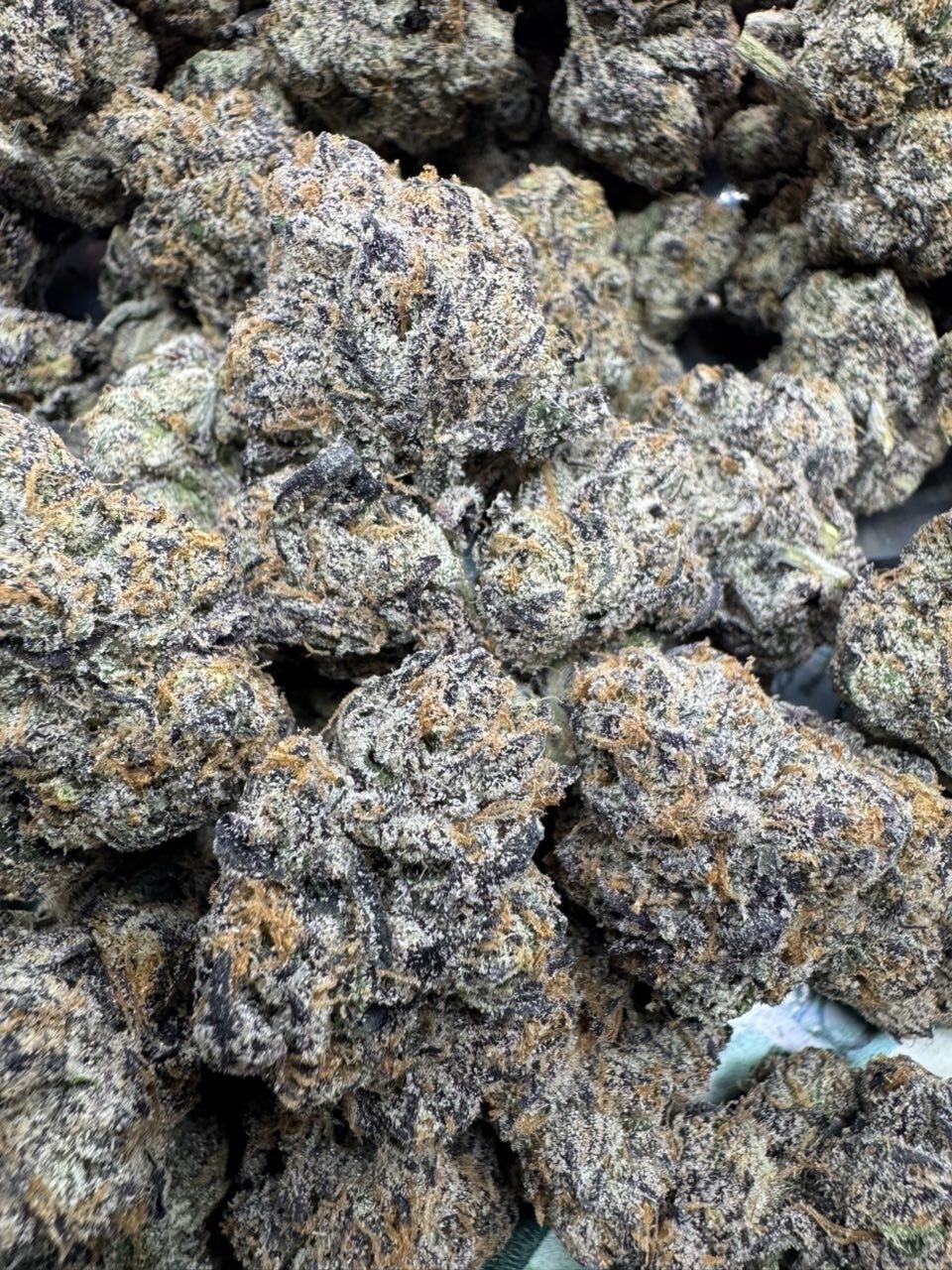 Premium Cannabis ๐ ๐Lemon Cherry Pop rock | Real Duck Distro Premium Cannabis ๐ ๐Lemon Cherry Pop rock โ premium flower from Real Duck Distro Los Angeles, buy online with nationwide cannabis shipping