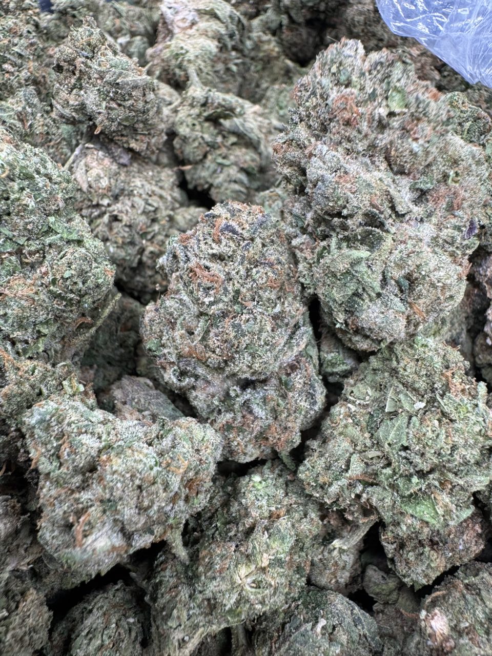 Jack Herer 🃏 — gallery photo 2 of flower from Real Duck Distro