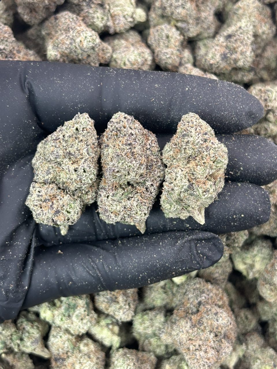 Pink Candy Runtz 🍭🍭