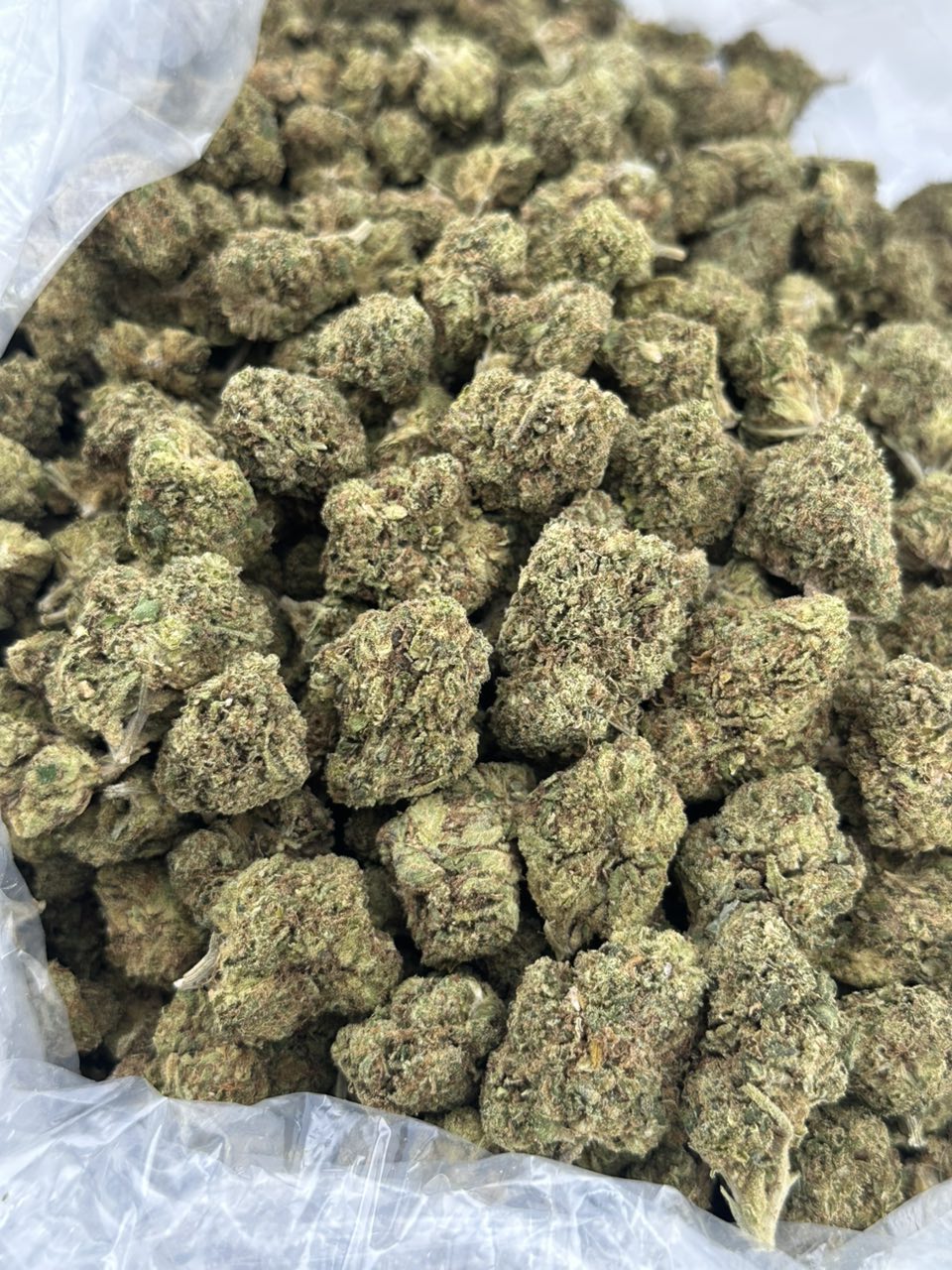 Kush Berry